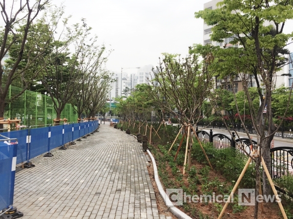 서울하늘초등학교 등굣길 주변에 나무 심기 공사[제공=마포구]