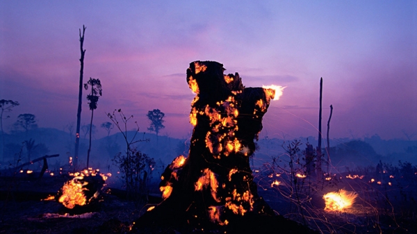 아마존 화재로 황폐화된 땅 [=BBC WORLD]