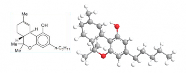 delta-9 tetrahydrocannabinol (THC) [출처=미국화학학회]