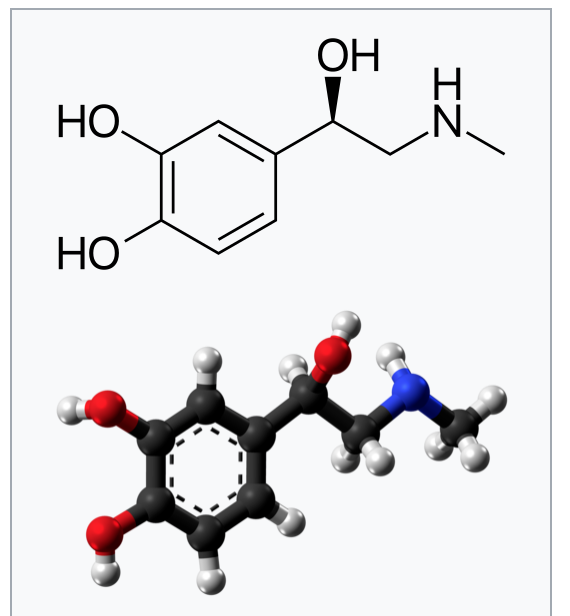 아드레날린(영어: adrenaline) 또는 에피네프린(영어: epinephrine)은 일종의 호르몬, 신경전달물질이다. 또 이 물질은 아미노산 페닐알라닌과 티로신에서 가져온 "교감신경 흥분 모노아민"인 카테콜아민이다. 화학식은 C9H13NO3이다.