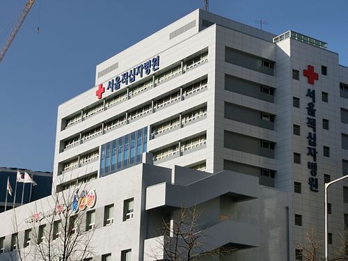 서울 적십자 병원