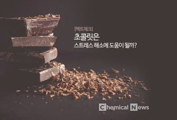 [펙트체크] 초콜릿은 스트레스 해소에 도움이 될까. ⓒ포인트경제