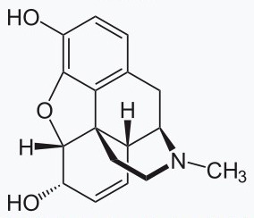 오피오이드의 일종인 모르핀의 화학 구조