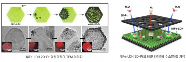 NiFe-LDH 2D-Pt 형성과정의 TEM이미지, NiFe-LDH 2D-Pt의 HER(물분해 수소발생) 기작ⓒ포스텍