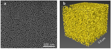 나노다공성 금의 표면 전자현미경(SEM) 이미지(a)와 이를 3차원 재건(b)한 이미지. 매우 작은 기공이 형성된 것을 확인할 수 있다.