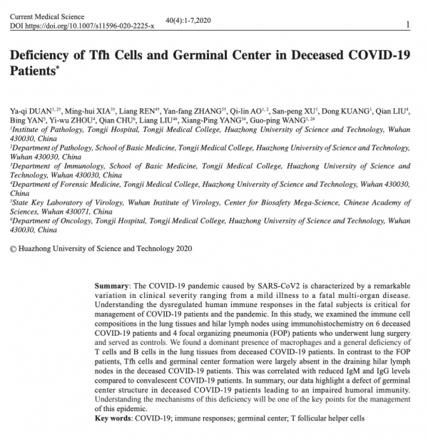 사망한 COVID-19 환자의 Tfh세포와 제르미날센터 부족현상