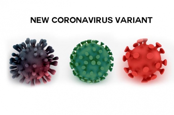 코로나바이러스 3D 모형 / 이미지=프리픽