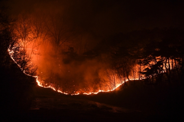 영주시 장수면 갈산리 야산에서 발생한 산불이 확산되고 있다. /사진=영주시 제공