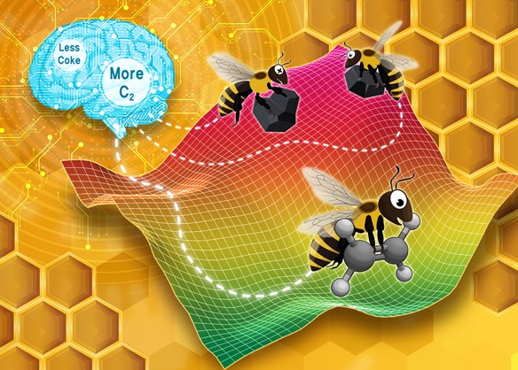 원하는 생성물(C2 화합물)의 수율은 높이고 부산물(숯, coke)의 생성을 최소화하는 조건을 찾기 위해 사용된 인공 꿀벌 군집(Artificial Bee Colony) 알고리즘 그림 (Reaction Chemistry & Engineering 저널 뒷표지 그림)