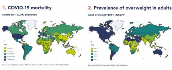 1) 코로나19 사망률 지도(인구 10만명당 사망자수), 2) 성인 과체중 유병률 지도, 성인 과체중 발생 BMI 25kg/m2 초과 /이미지=세계비만연맹