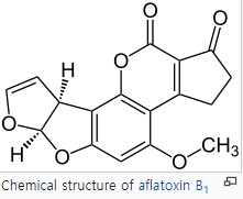 아플라톡신 B1의 화학구조