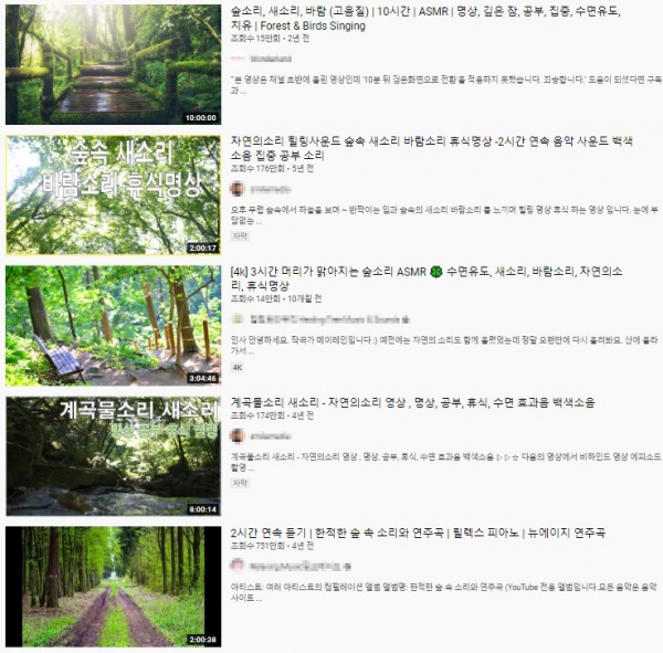 유튜브에서 검색되는 '숲속 소리' 영상들