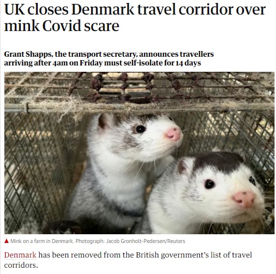 밍크의 변이 코로나 바이러스에 대한 공포로 덴마크 여행을 폐쇄한 영국 / 영국 가디언지 갈무리