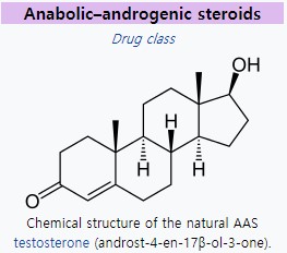단백동화스테로이드의 화학구조