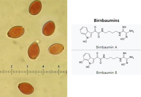 버바민스(Birnbaumins)의 화학구조