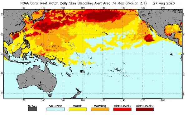 태평양 지역에 대한 NOAA 산호초 감시 위성 표백 경보 지역(최대 7일) 제품.