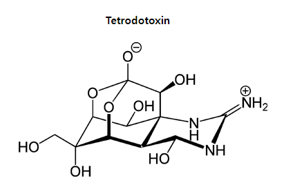 테트로도톡신 분자식