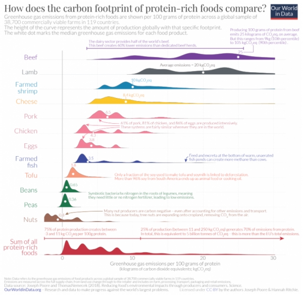 단백질이 풍부한 식품의 이산화탄소 배출량은 어떤 식으로 비교될까?