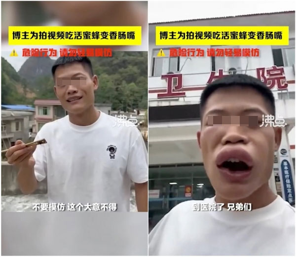왕찬의 말벌 시식 영상 일부 / 웨이보, 사우스차이나모닝포스트(SCMP) 갈무리