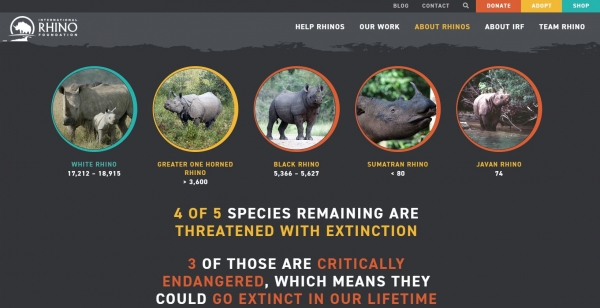 코뿔소는 심각한 멸종 위기에 처해있다 / 세계 코뿔소 재단 홈페이지 갈무리