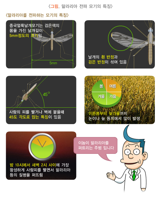 말라리아 전파 모기의 특징 / 질병관리청