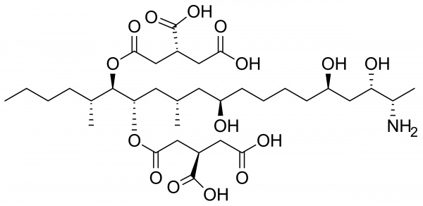푸모니신 B1의 화학 구조
