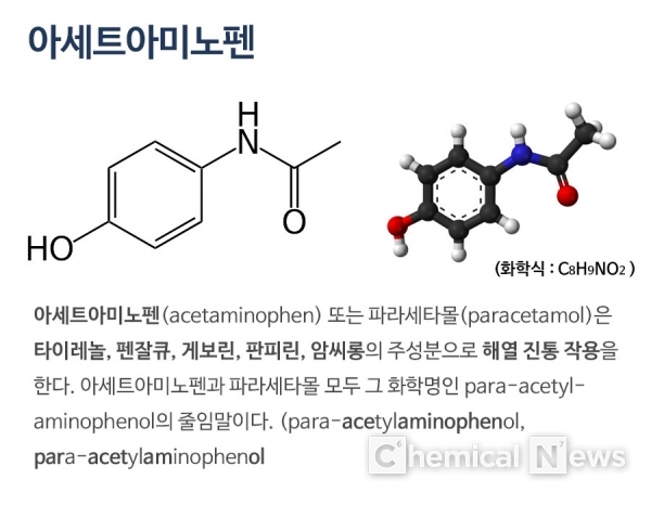 아세트아미노펜 대사