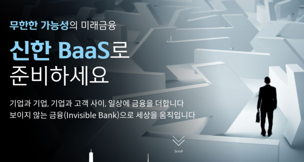 신한 BaaS 소개 사이트 갈무리 (포인트경제)