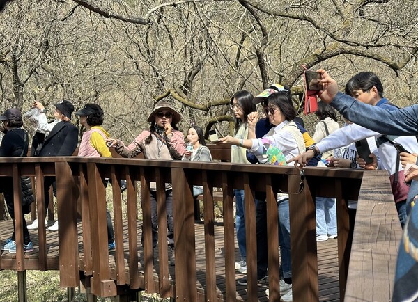 고창군이 지난 23일 3월 여행가는 달을 맞아 진행한 여행상품에서 관광객들이 여행을 즐기고 있다.  ⓒ고창군 (포인트경제)