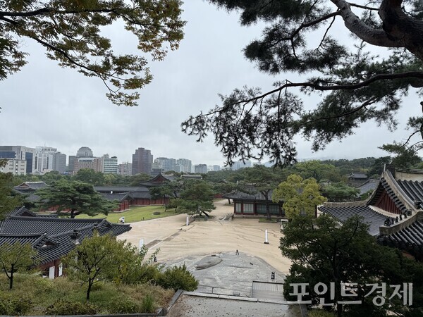 10일 창경궁 풍경. 이날 외국인 관광객들은 대부분 우비를 입고 자유롭게 다니고 있다. /사진=명은별
