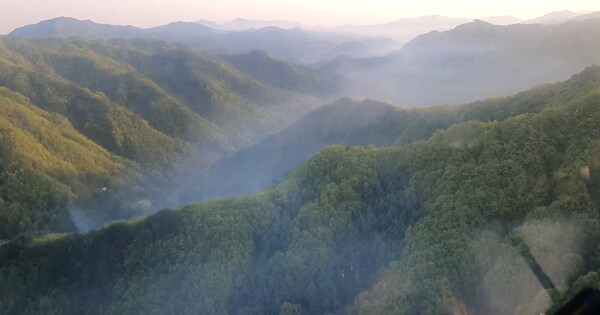 "작은 불씨가 대형산불로" 행안부·산림청, 평창·강릉서 합동 점검 - 뉴스 썸네일 이미지